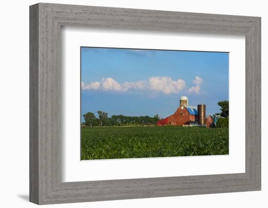 Farm with Red Barn and Corn, Milford Center, Ohio-Bill Bachmann-Framed Photographic Print