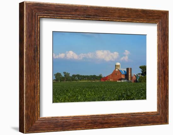 Farm with Red Barn and Corn, Milford Center, Ohio-Bill Bachmann-Framed Photographic Print