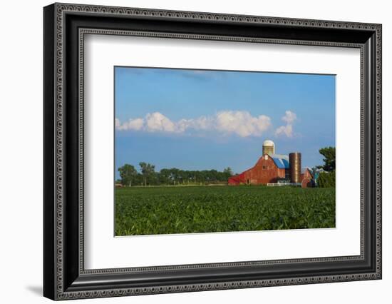 Farm with Red Barn and Corn, Milford Center, Ohio-Bill Bachmann-Framed Photographic Print