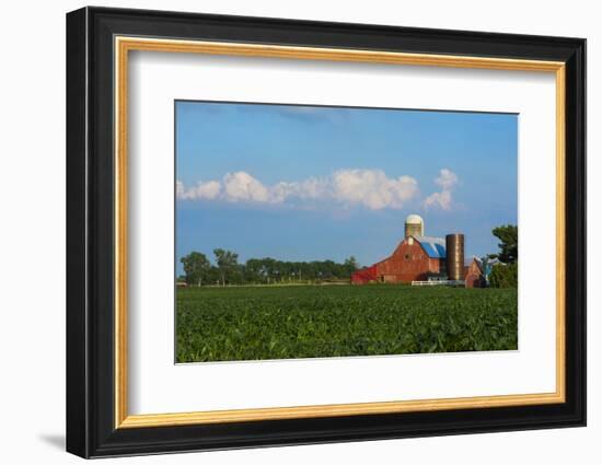 Farm with Red Barn and Corn, Milford Center, Ohio-Bill Bachmann-Framed Photographic Print