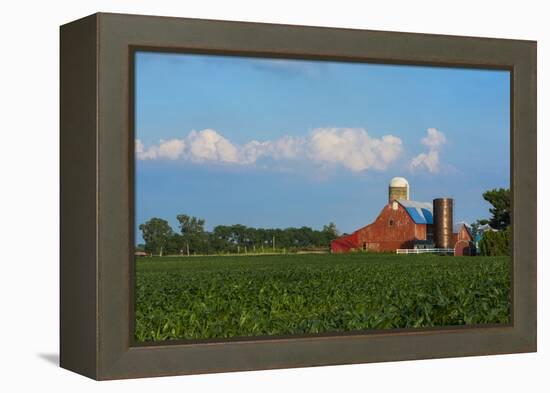 Farm with Red Barn and Corn, Milford Center, Ohio-Bill Bachmann-Framed Premier Image Canvas