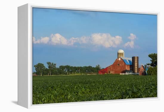 Farm with Red Barn and Corn, Milford Center, Ohio-Bill Bachmann-Framed Premier Image Canvas