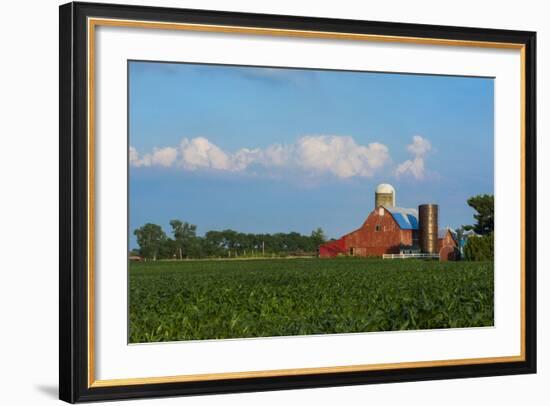 Farm with Red Barn and Corn, Milford Center, Ohio-Bill Bachmann-Framed Photographic Print