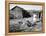 Farm Woman Feeding Her Chickens in a Small Coal Mining Town-Alfred Eisenstaedt-Framed Premier Image Canvas