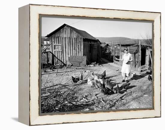 Farm Woman Feeding Her Chickens in a Small Coal Mining Town-Alfred Eisenstaedt-Framed Premier Image Canvas