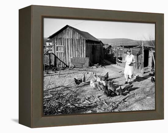 Farm Woman Feeding Her Chickens in a Small Coal Mining Town-Alfred Eisenstaedt-Framed Premier Image Canvas