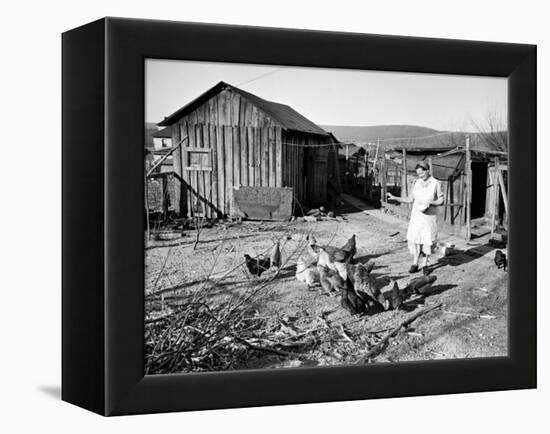 Farm Woman Feeding Her Chickens in a Small Coal Mining Town-Alfred Eisenstaedt-Framed Premier Image Canvas