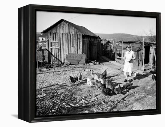 Farm Woman Feeding Her Chickens in a Small Coal Mining Town-Alfred Eisenstaedt-Framed Premier Image Canvas