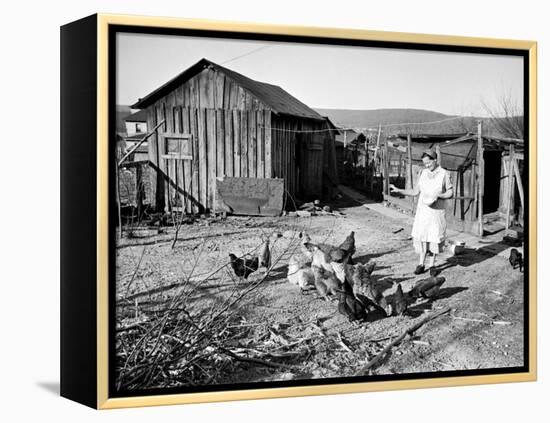 Farm Woman Feeding Her Chickens in a Small Coal Mining Town-Alfred Eisenstaedt-Framed Premier Image Canvas