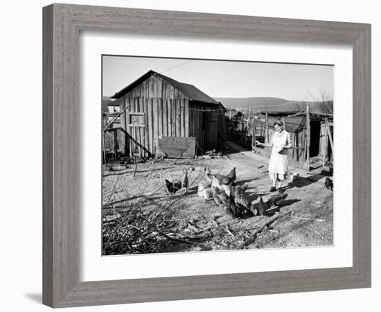 Farm Woman Feeding Her Chickens in a Small Coal Mining Town-Alfred Eisenstaedt-Framed Photographic Print