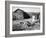 Farm Woman Feeding Her Chickens in a Small Coal Mining Town-Alfred Eisenstaedt-Framed Photographic Print