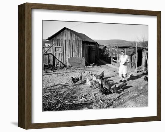 Farm Woman Feeding Her Chickens in a Small Coal Mining Town-Alfred Eisenstaedt-Framed Photographic Print