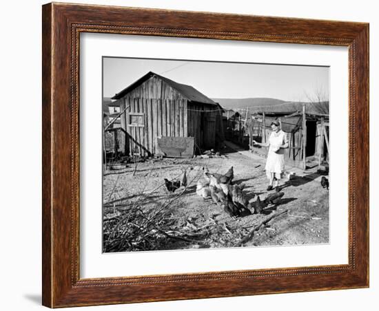 Farm Woman Feeding Her Chickens in a Small Coal Mining Town-Alfred Eisenstaedt-Framed Photographic Print