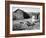 Farm Woman Feeding Her Chickens in a Small Coal Mining Town-Alfred Eisenstaedt-Framed Photographic Print