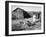 Farm Woman Feeding Her Chickens in a Small Coal Mining Town-Alfred Eisenstaedt-Framed Photographic Print