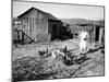 Farm Woman Feeding Her Chickens in a Small Coal Mining Town-Alfred Eisenstaedt-Mounted Photographic Print