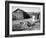 Farm Woman Feeding Her Chickens in a Small Coal Mining Town-Alfred Eisenstaedt-Framed Photographic Print