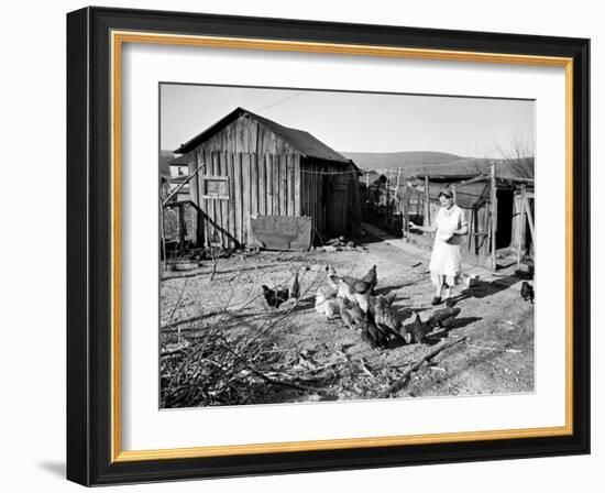 Farm Woman Feeding Her Chickens in a Small Coal Mining Town-Alfred Eisenstaedt-Framed Photographic Print