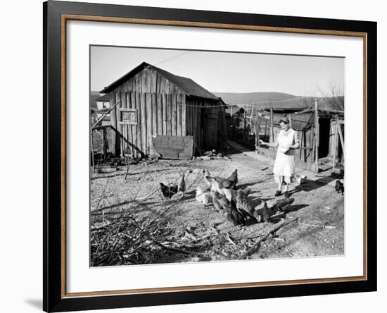 Farm Woman Feeding Her Chickens in a Small Coal Mining Town-Alfred Eisenstaedt-Framed Photographic Print