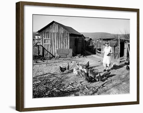 Farm Woman Feeding Her Chickens in a Small Coal Mining Town-Alfred Eisenstaedt-Framed Photographic Print