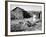 Farm Woman Feeding Her Chickens in a Small Coal Mining Town-Alfred Eisenstaedt-Framed Photographic Print