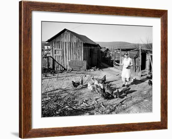 Farm Woman Feeding Her Chickens in a Small Coal Mining Town-Alfred Eisenstaedt-Framed Photographic Print