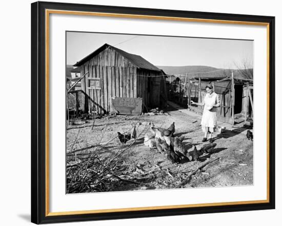 Farm Woman Feeding Her Chickens in a Small Coal Mining Town-Alfred Eisenstaedt-Framed Photographic Print