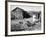 Farm Woman Feeding Her Chickens in a Small Coal Mining Town-Alfred Eisenstaedt-Framed Photographic Print