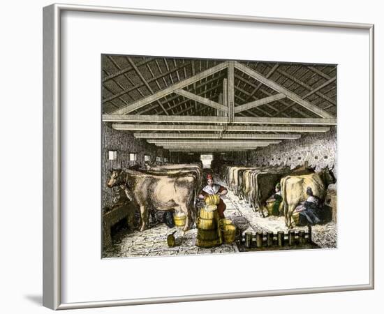 Farm Women Pouring Milk Into a Churn in Dairy Barn-null-Framed Giclee Print