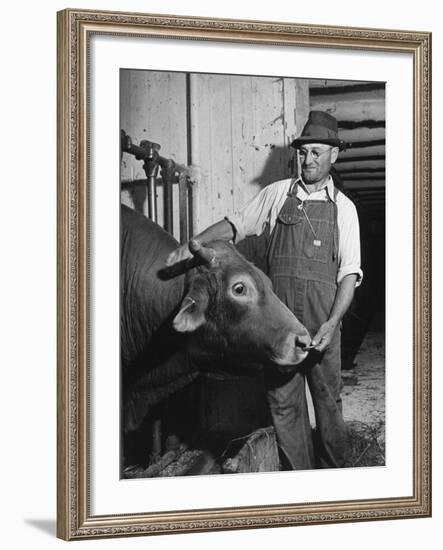 Farm Worker Petting One of the Cows Living on a Dairy Farm-Hansel Mieth-Framed Photographic Print