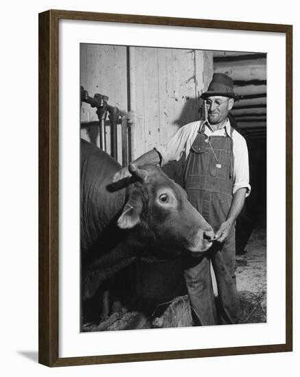 Farm Worker Petting One of the Cows Living on a Dairy Farm-Hansel Mieth-Framed Photographic Print