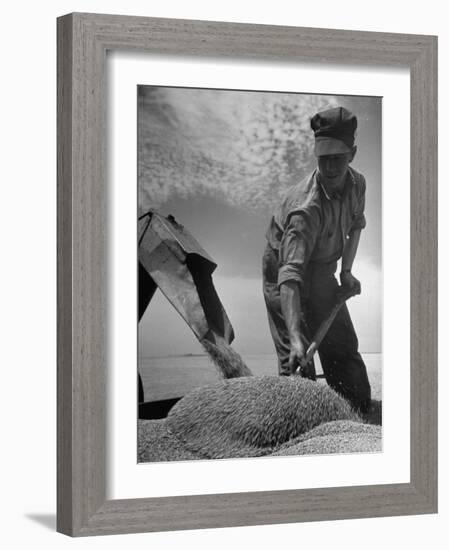 Farm Worker Shoveling Harvested Wheat-Ed Clark-Framed Photographic Print