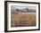 Farm-Rusty Frentner-Framed Giclee Print