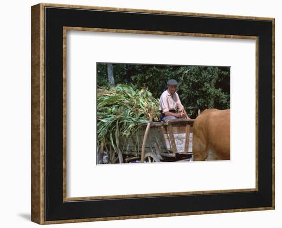 Farmer and his cart in Hungary. Artist: CM Dixon Artist: Unknown-CM Dixon-Framed Photographic Print