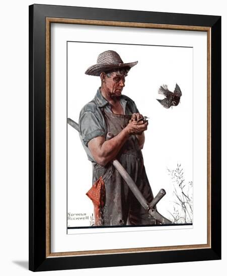 "Farmer and the Bird" or "Harvest Time", August 18,1923-Norman Rockwell-Framed Giclee Print