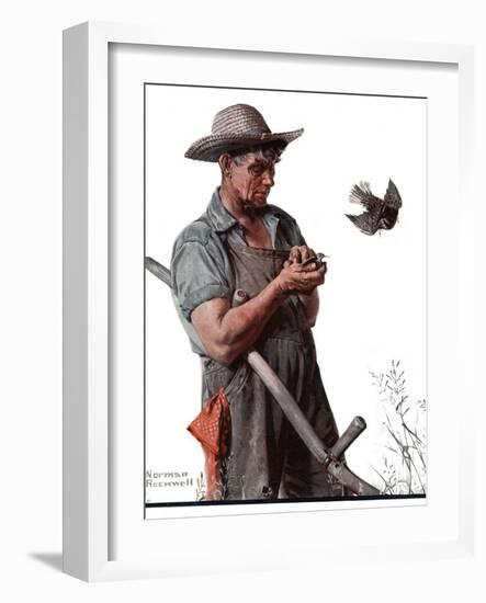 "Farmer and the Bird" or "Harvest Time", August 18,1923-Norman Rockwell-Framed Giclee Print