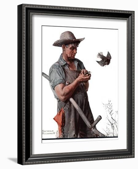 "Farmer and the Bird" or "Harvest Time", August 18,1923-Norman Rockwell-Framed Giclee Print