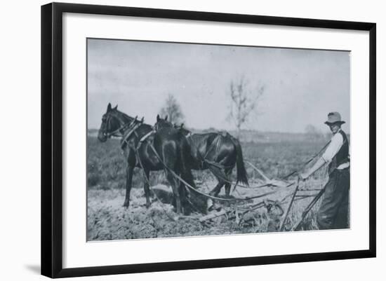 Photo, , large