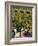 Farmer Driving a Tractor in Lujan De Cuyo, Mendoza Region, Argentina, South America-Yadid Levy-Framed Photographic Print