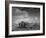 Farmer Driving Horses in the Field-Alfred Eisenstaedt-Framed Photographic Print