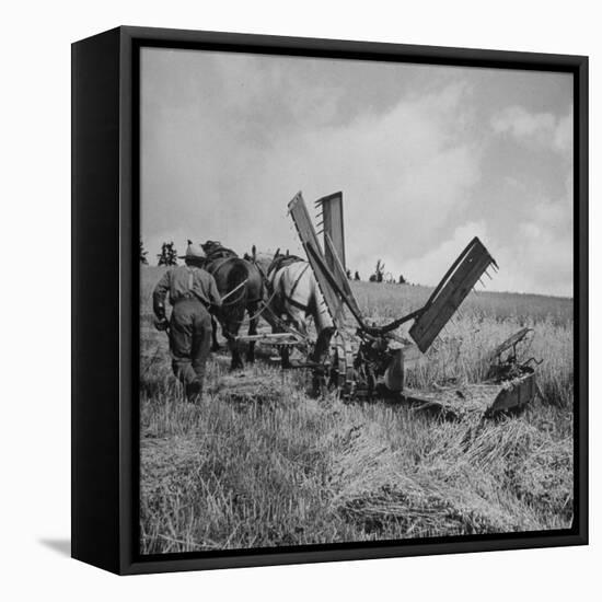 Farmer Harvesting Oats-John Phillips-Framed Premier Image Canvas