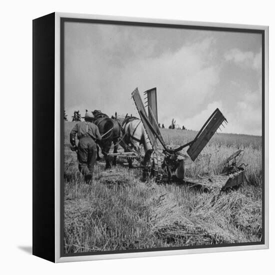 Farmer Harvesting Oats-John Phillips-Framed Premier Image Canvas