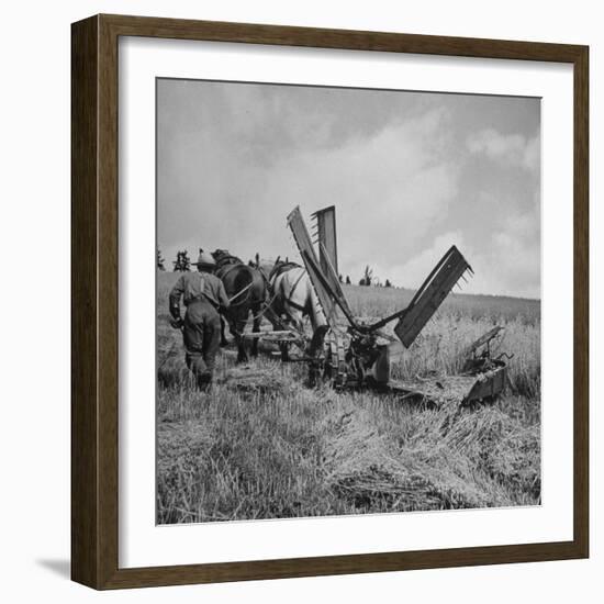 Farmer Harvesting Oats-John Phillips-Framed Photographic Print
