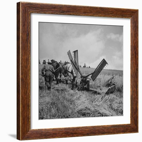 Farmer Harvesting Oats-John Phillips-Framed Photographic Print