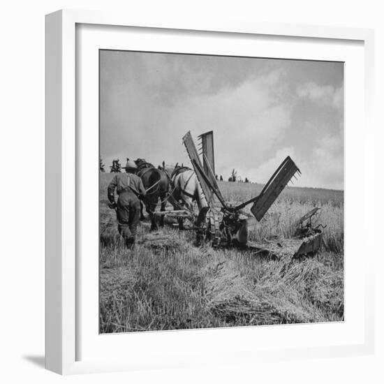 Farmer Harvesting Oats-John Phillips-Framed Photographic Print