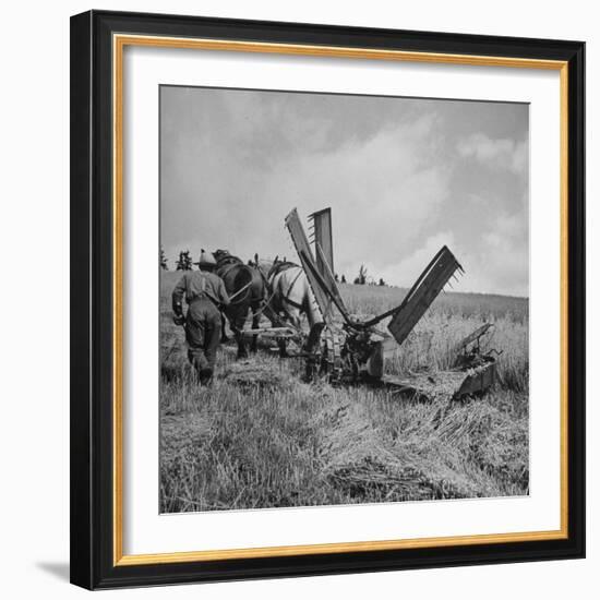 Farmer Harvesting Oats-John Phillips-Framed Photographic Print