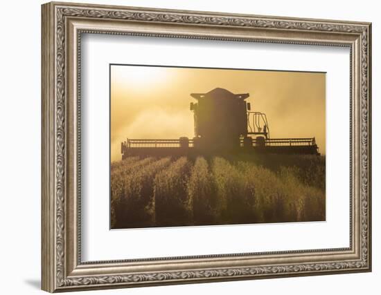 Farmer Harvesting Soybeans at Sunset, Marion County, Illinois-Richard and Susan Day-Framed Photographic Print