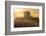 Farmer Harvesting Soybeans at Sunset, Marion County, Illinois-Richard and Susan Day-Framed Photographic Print