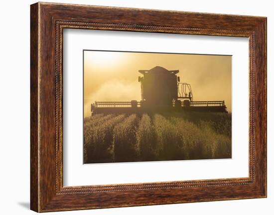 Farmer Harvesting Soybeans at Sunset, Marion County, Illinois-Richard and Susan Day-Framed Photographic Print