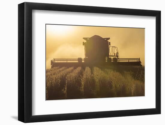 Farmer Harvesting Soybeans at Sunset, Marion County, Illinois-Richard and Susan Day-Framed Photographic Print